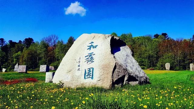 逃离违建房屋5
