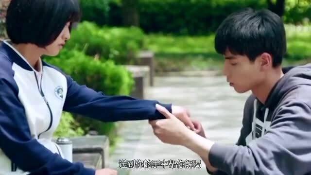 小猫钓鱼正版下载中文版