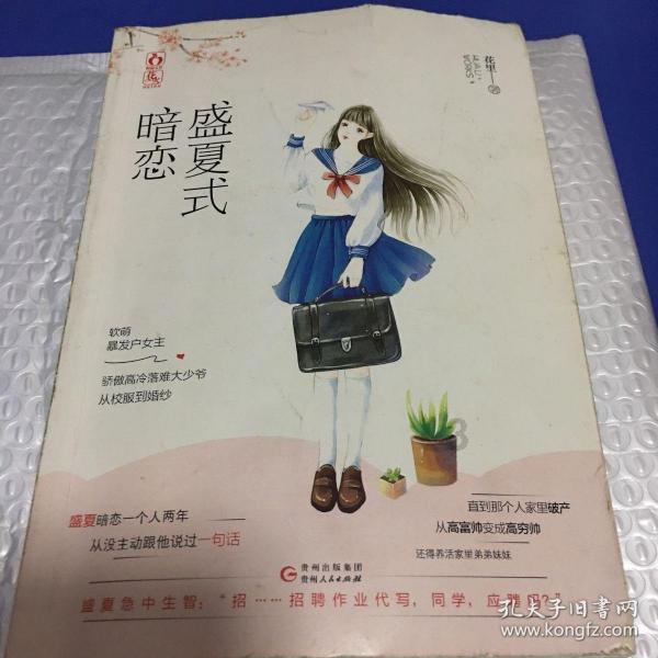 功率300w到800w算大吗？